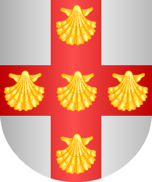 ESCUDO SIGUIENTE