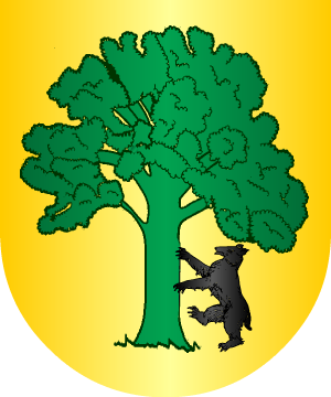 ESCUDO ALEATORIO