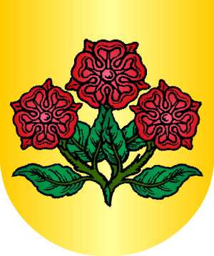 ESCUDO SIGUIENTE