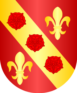 ESCUDO ALEATORIO