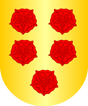 ESCUDO SIGUIENTE