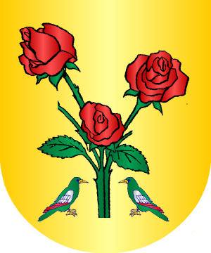 ESCUDO SIGUIENTE