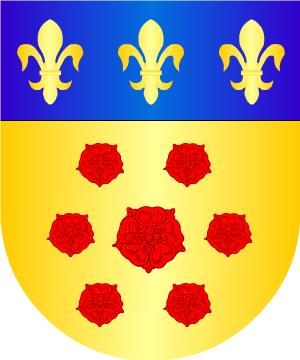 ESCUDO ALEATORIO
