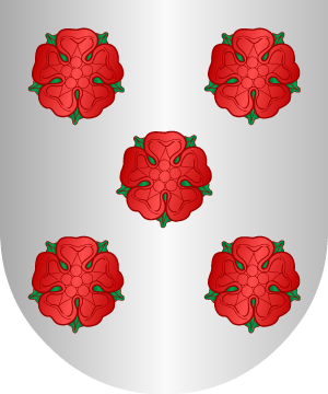 ESCUDO PRECEDENTE