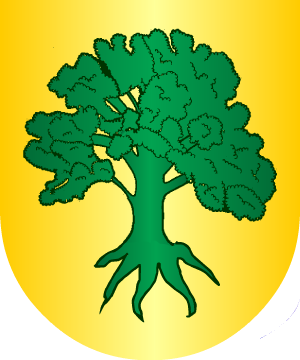 ESCUDO PRECEDENTE
