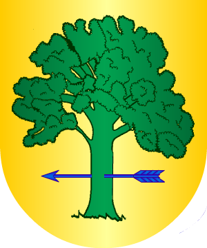 ESCUDO ALEATORIO