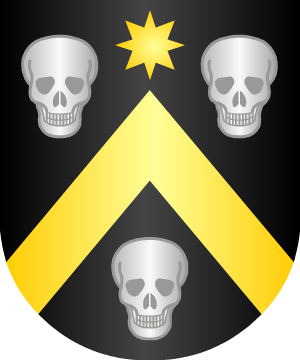 ESCUDO ALEATORIO