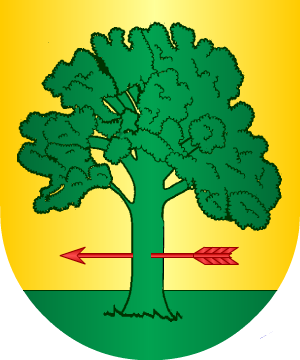 ESCUDO PRECEDENTE