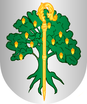 ESCUDO SIGUIENTE