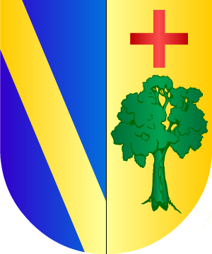 ESCUDO SIGUIENTE
