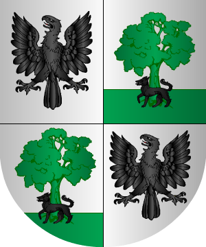 ESCUDO SIGUIENTE