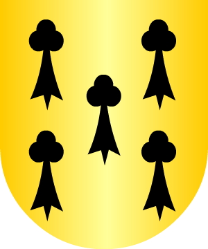 ESCUDO ALEATORIO