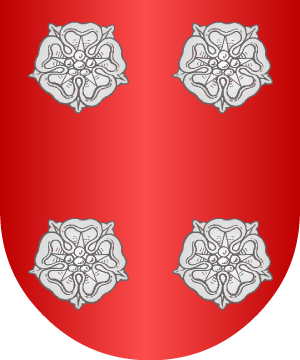 ESCUDO SIGUIENTE