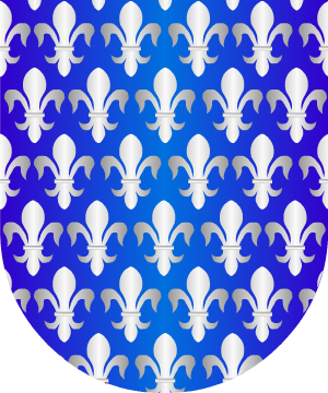 ESCUDO SIGUIENTE