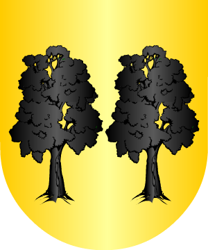 ESCUDO ALEATORIO