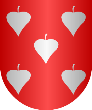 ESCUDO SIGUIENTE