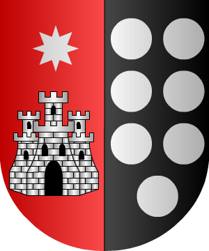 ESCUDO PRECEDENTE