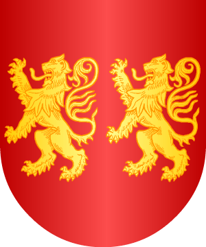 ESCUDO ALEATORIO