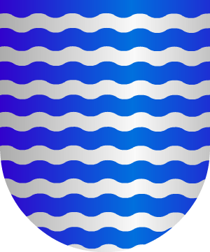 ESCUDO SIGUIENTE