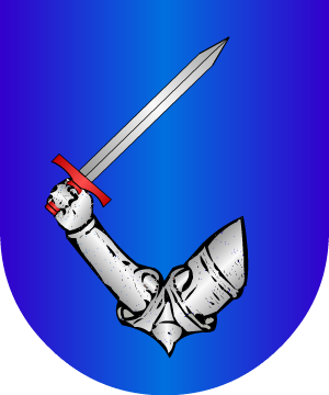 ESCUDO ALEATORIO