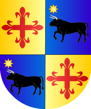 ESCUDO ALEATORIO