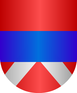 ESCUDO ALEATORIO