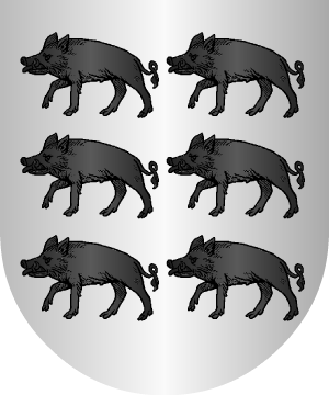 ESCUDO SIGUIENTE