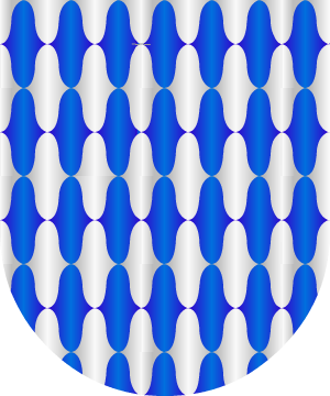 ESCUDO ALEATORIO