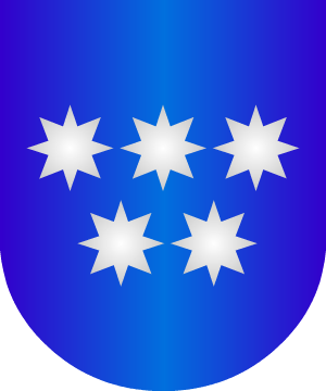 ESCUDO ALEATORIO