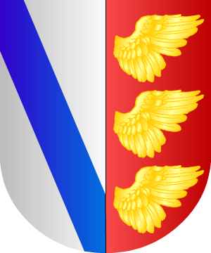 ESCUDO SIGUIENTE