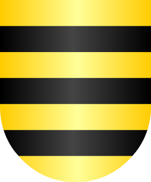 ESCUDO SIGUIENTE