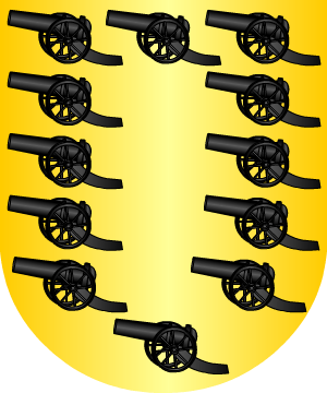 ESCUDO ALEATORIO