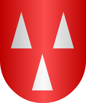 ESCUDO SIGUIENTE