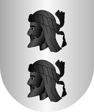 ESCUDO SIGUIENTE