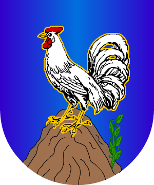ESCUDO SIGUIENTE