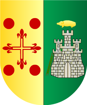 ESCUDO PRECEDENTE