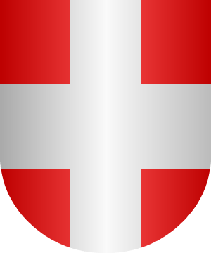 ESCUDO SIGUIENTE