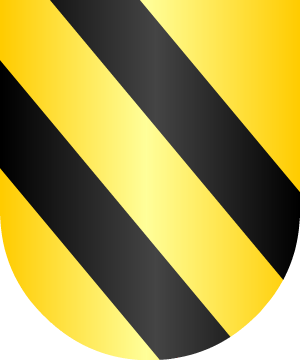ESCUDO SIGUIENTE