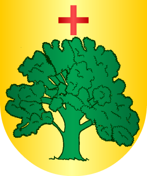 ESCUDO SIGUIENTE