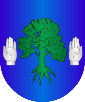 ESCUDO ALEATORIO
