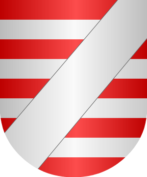 ESCUDO PRECEDENTE