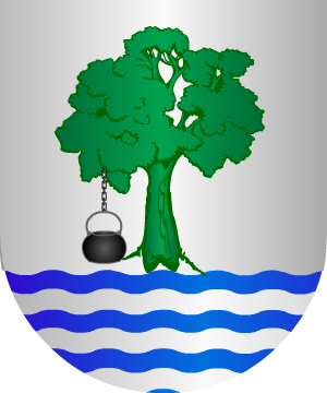 ESCUDO ALEATORIO