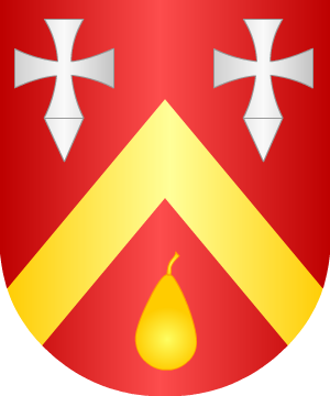 ESCUDO SIGUIENTE