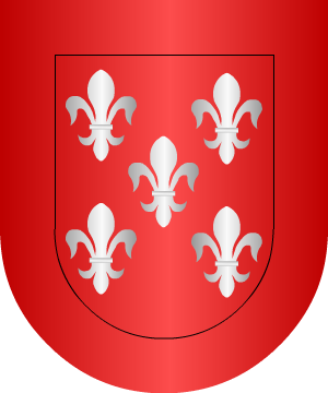ESCUDO SIGUIENTE