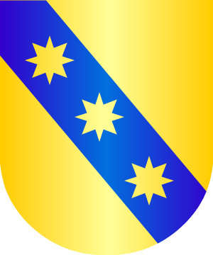 ESCUDO SIGUIENTE