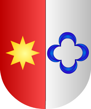 ESCUDO SIGUIENTE