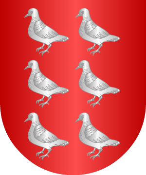 ESCUDO SIGUIENTE