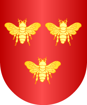 ESCUDO ALEATORIO