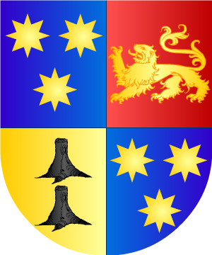 ESCUDO ALEATORIO