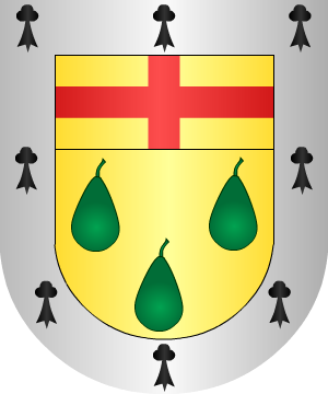 ESCUDO SIGUIENTE